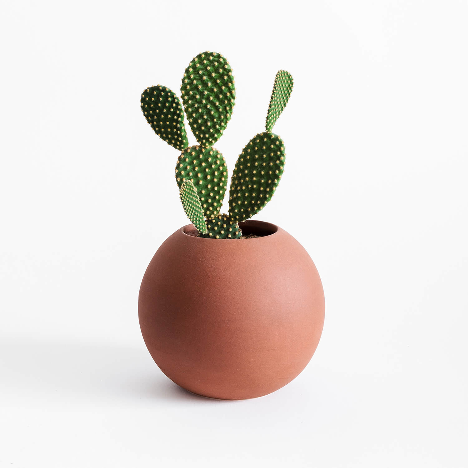 Maceta Esfera Terracota