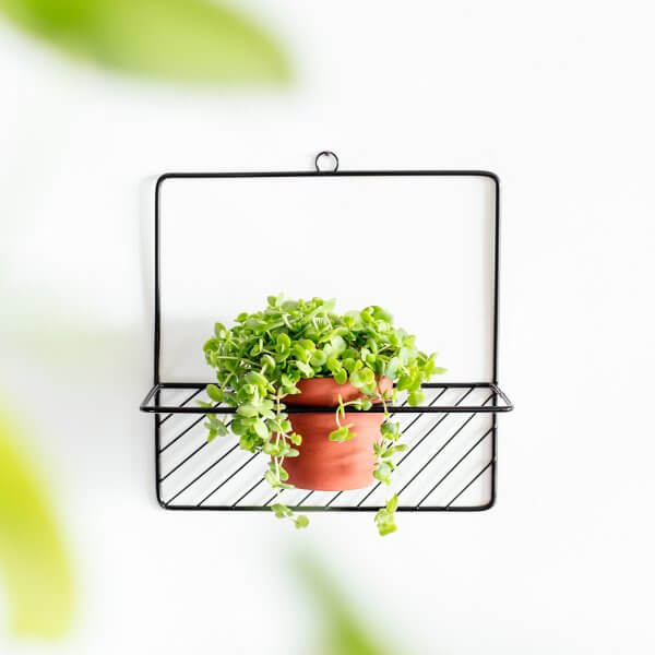 Colgante de Muro – Modelo C – Negro