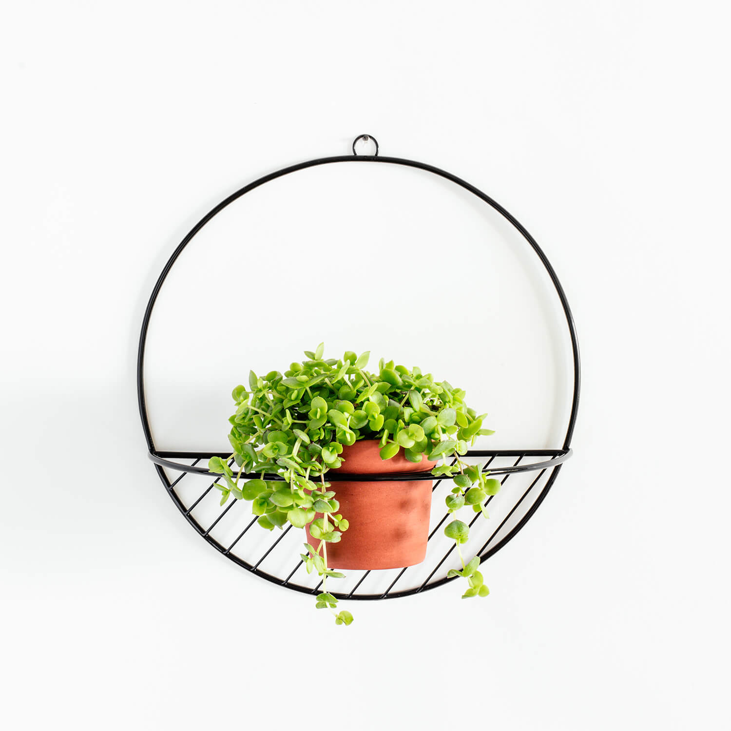 Colgante de Muro – Modelo D – Negro