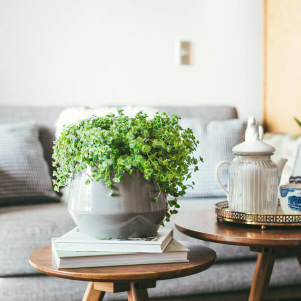 Maceta Rombo XL – Gris