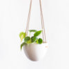 Maceta Huevo colgante + Filodendro
