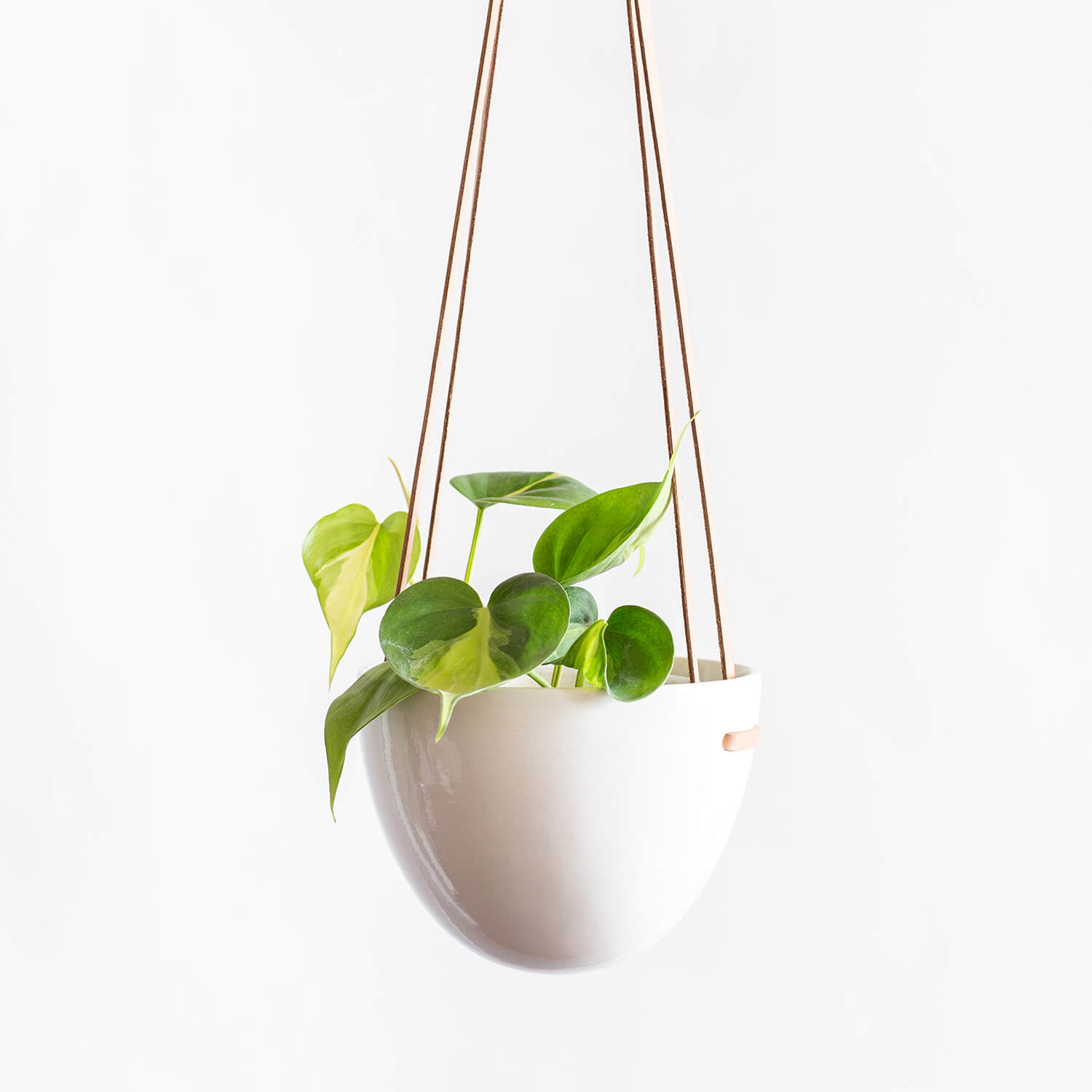 Maceta Huevo colgante + Filodendro