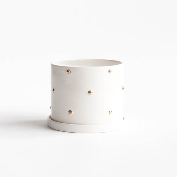 Maceta Cilindro Puntos Oro + Plato