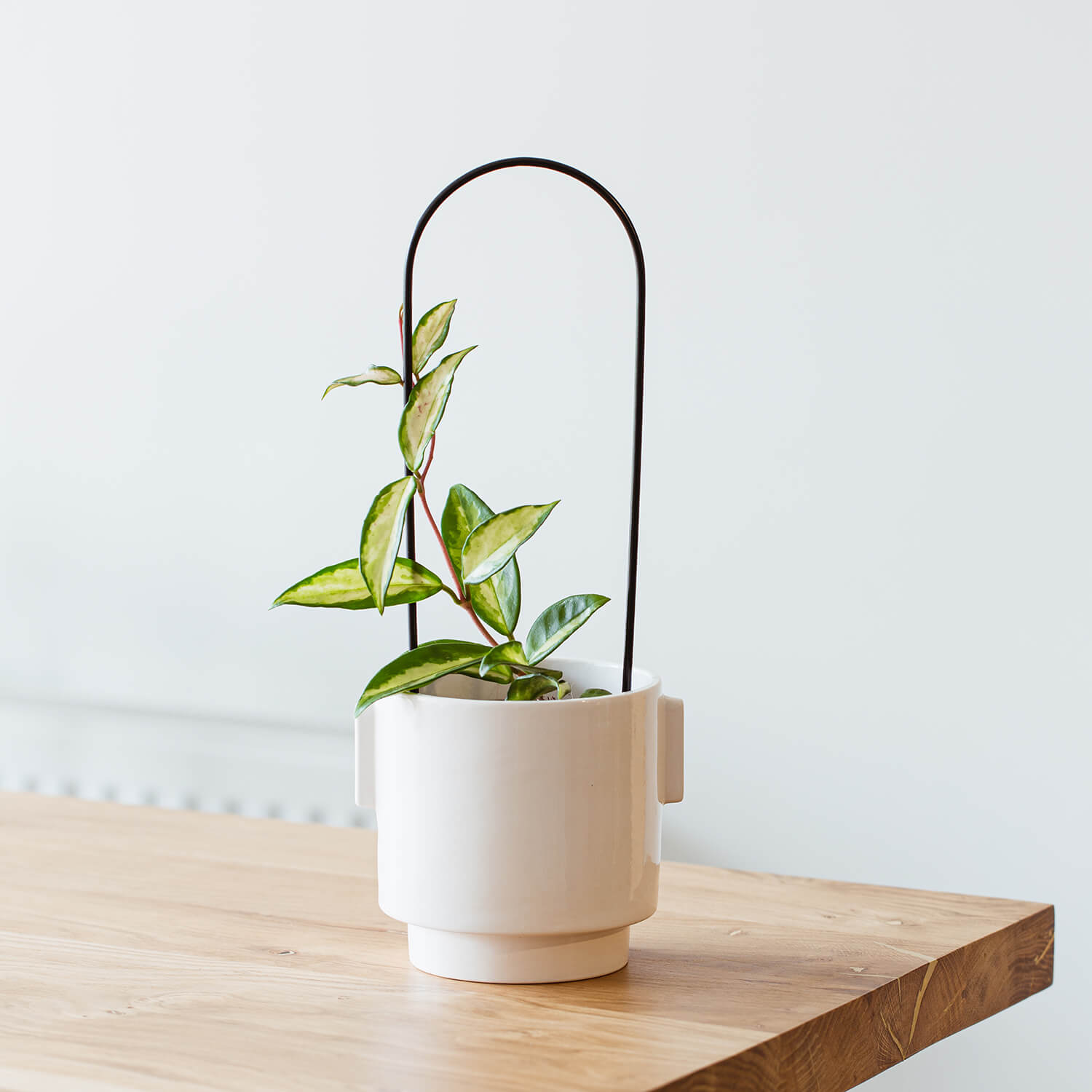 Maceta Cilindro c/ mangos – Blanco