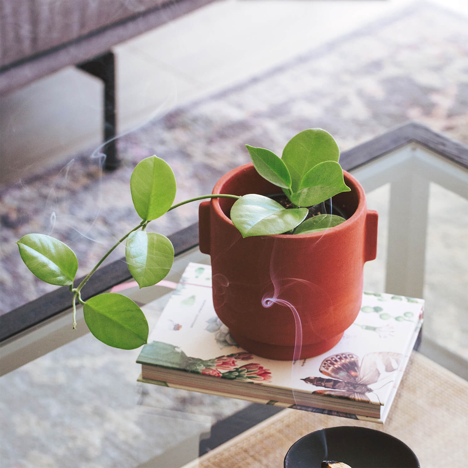 Maceta Cilindro c/ mangos – Terracota