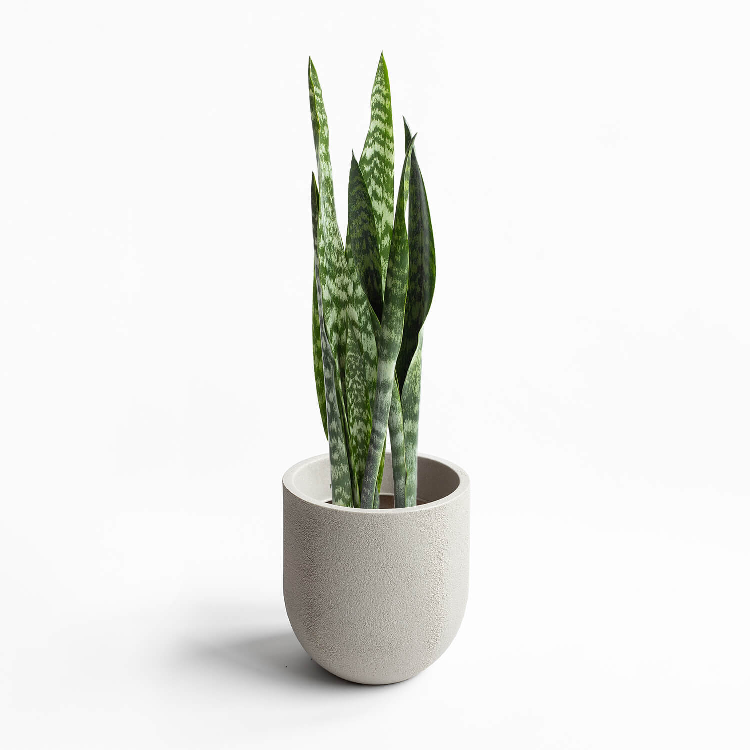 Maceta Cask Arena 33×33,5cm