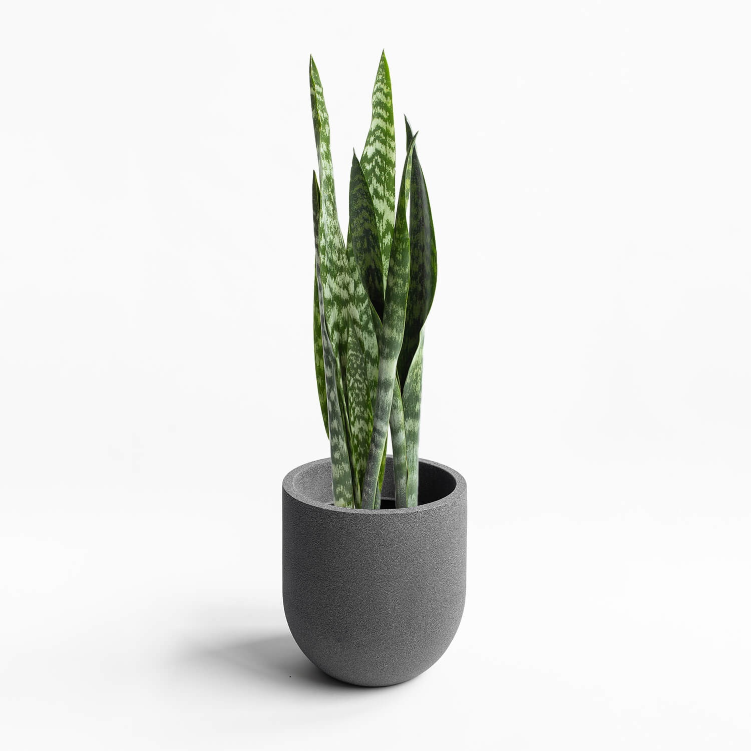 Maceta Cask Grafito 33×33,5cm