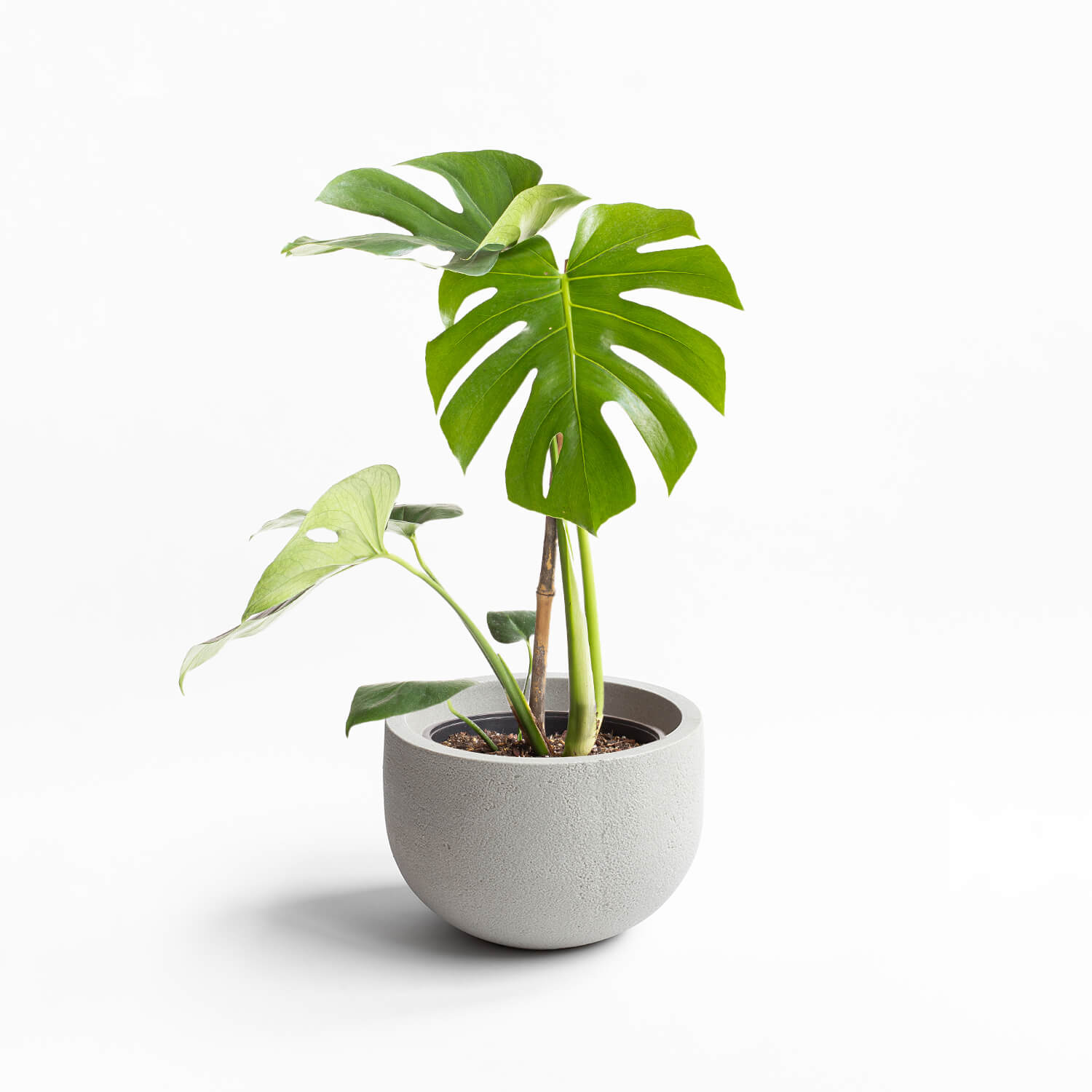 Maceta Rustic Arena 33x23cm