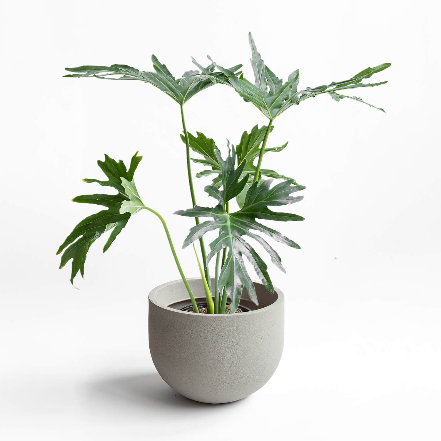 Maceta Rustic Arena 45x35cm