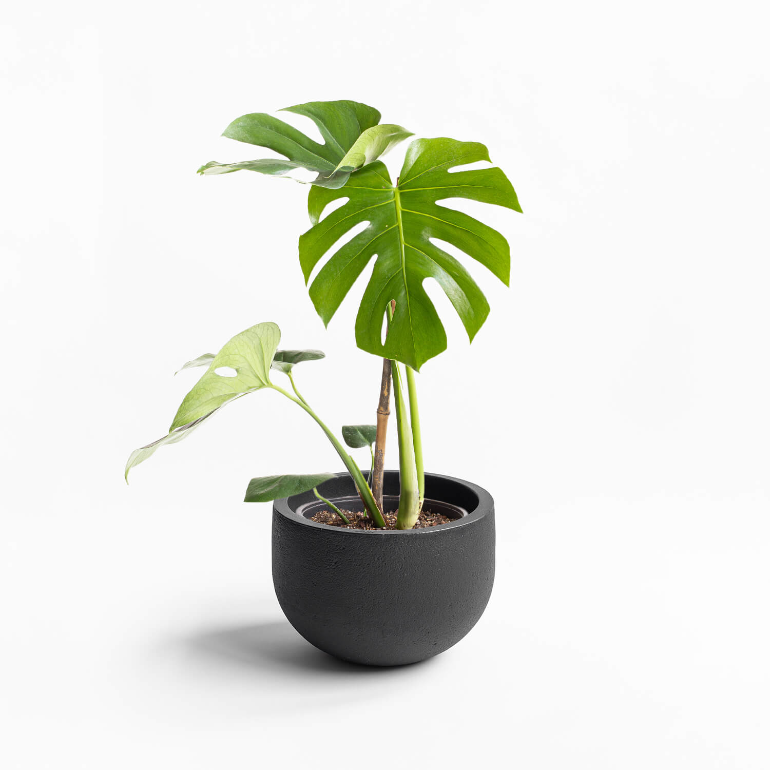 Maceta Rustic Negro 33x23cm