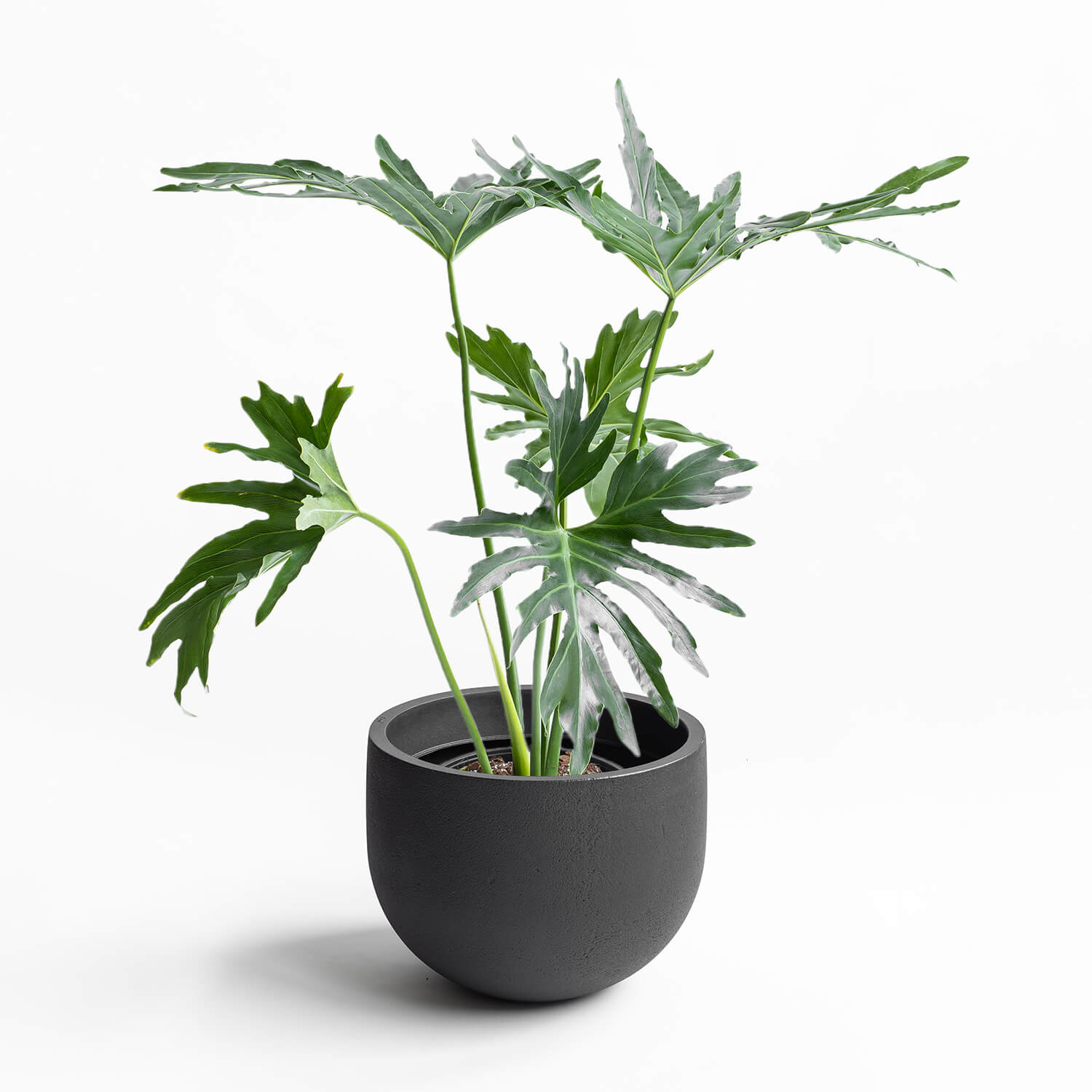 maceta-rustic-negro-45x35cm-02