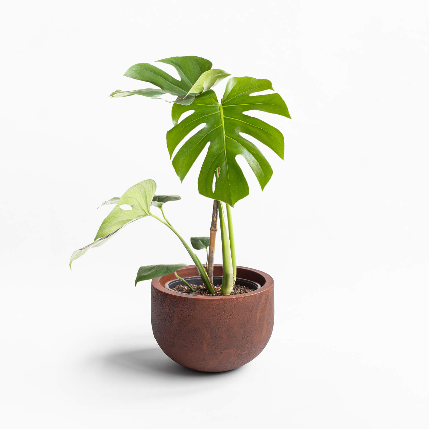 Maceta Rustic Óxido 33x23cm