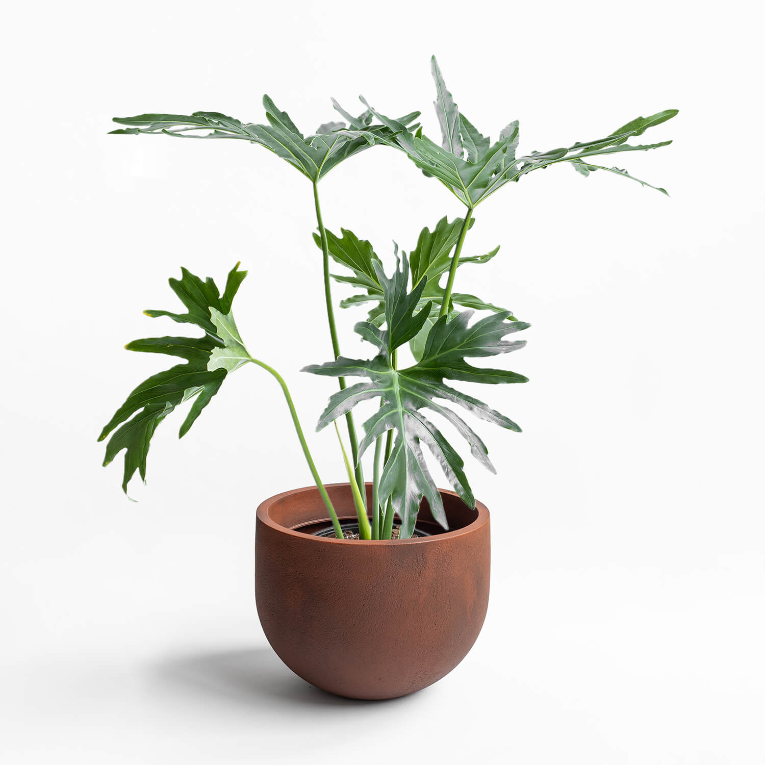 Maceta Rustic Óxido 45x35cm