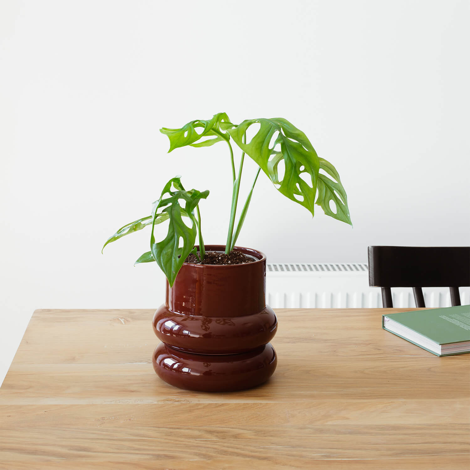 Maceta Óvalo – Chocolate