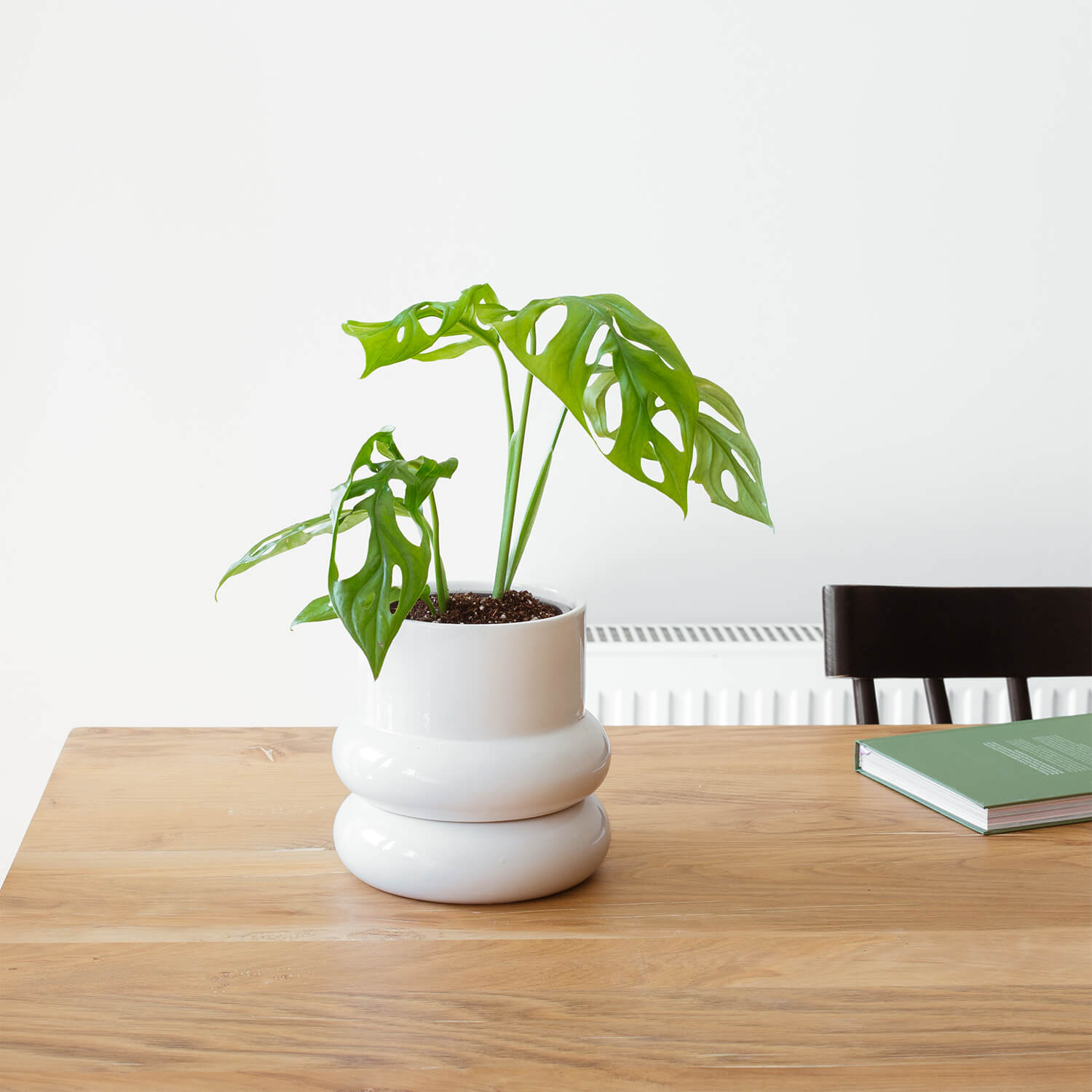 Maceta Óvalo – Blanco