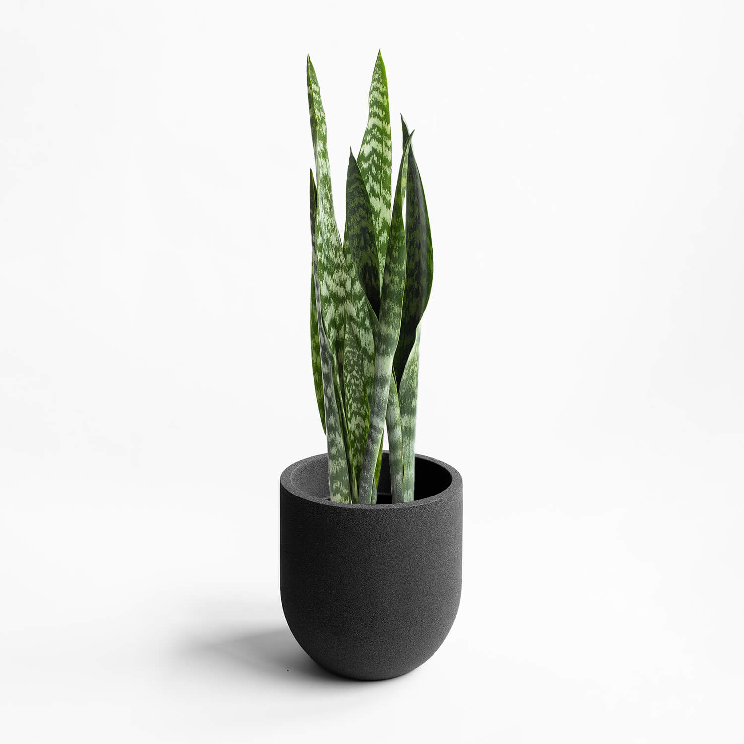 Maceta Cask Negro 33×33,5cm