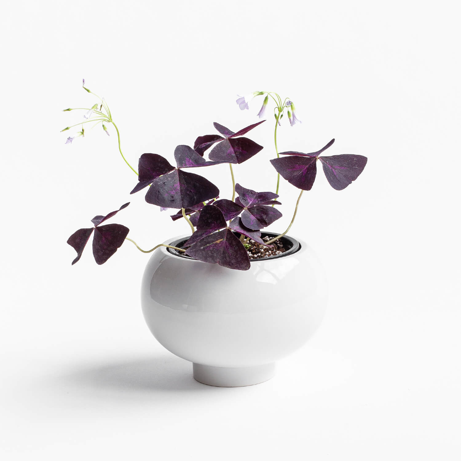 Maceta Halo – Blanco