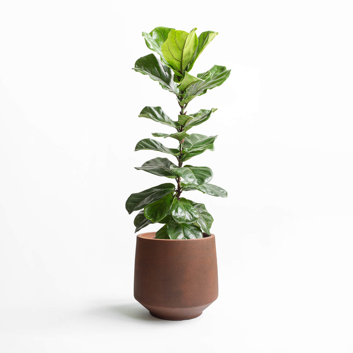 Maceta Volta Oxido 47×42,5cm