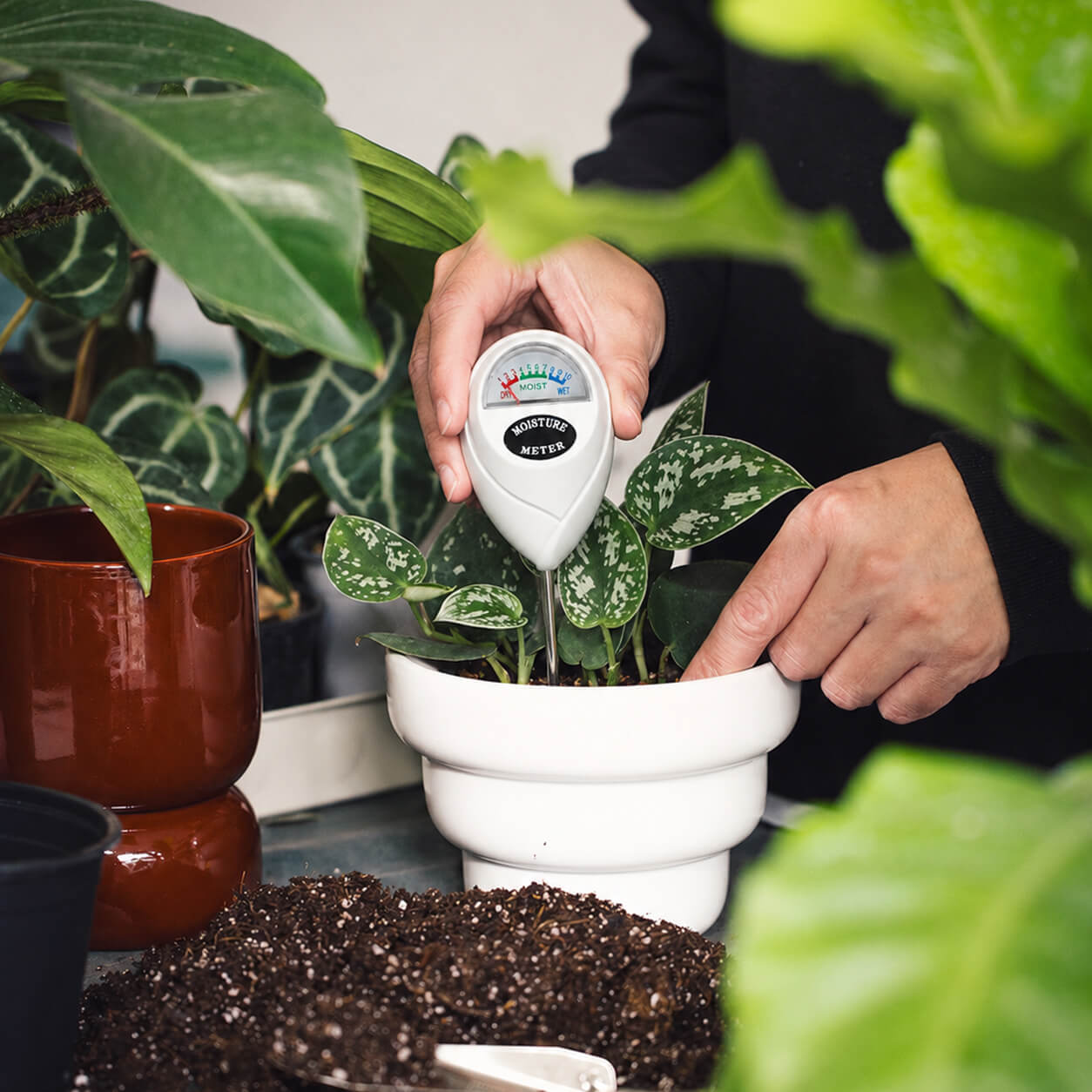 Medidor de Humedad para Plantas — Sin batería