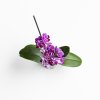 Ver foto 2 de Orquídea Multiflora Merida